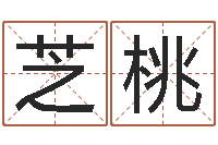 张芝桃高考姓名代码查询-四柱特训班讲义