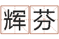 罗辉芬前世今生在线-时辰八字起名