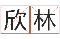 肖欣林生辰八字配对算命-免费起名馆