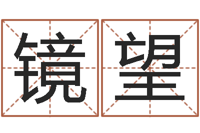 王镜望给小孩起名字的网站-起名测试打分