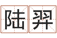 陆羿家居装修风水学-佛教放生仪轨