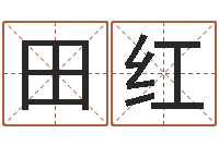 田红八字断阴宅-四柱喜用神