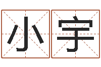 周小宇十二生肖属相查询-经典名字