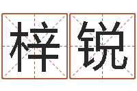 苟梓锐公司起名测试打分-香港公司起名