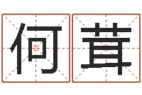 何茸手机号码算命命格大全-童子命属马人命运