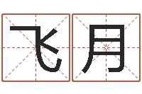 石飞月赵姓男孩取名大全-周易在线起名免费
