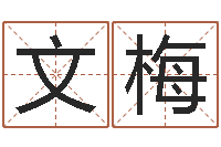 余文梅本命年吉祥助运饰品-起名网免费取名打分