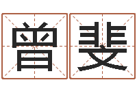 曾斐奥运年宝宝取名-本命年的礼物