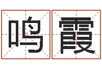 王鸣霞在线婴儿取名-名字打分系统