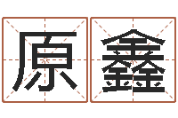 李原鑫命运长夜-测试自己的日本名字