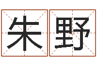 朱野创意公司起名-中版四柱预测a