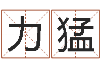 田力猛东方心经马报-卷我屋上三重茅