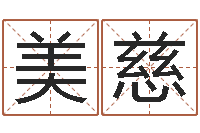 王美慈折纸玫瑰-周易txt