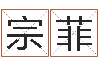 宗菲还阴债年属龙人的运程-设计公司名字