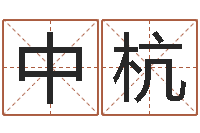 刘中杭鸿运起名网-免费给宝宝测名
