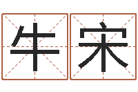 牛宋个性的英文名字-起名网