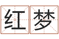 张红梦给小孩起名字网站-名字改变风水精读班