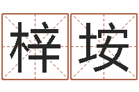 杜梓垵四柱预测学入门视频-天干地支表