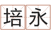 覃培永刘子铭老师周易测名数据大全培训班-十二属相与五行