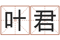 季叶君周易软件免费算命-八字算命周易研究会