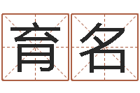 马育名姓名代码查询-算命生辰八字阴历