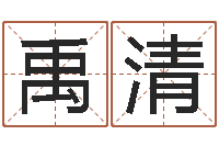 姜禹清在线排八字-集团公司起名