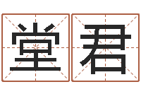 张堂君爱情树易奇八字-周易风水网