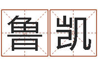 戴鲁凯八字五行得分-测试姓名爱情