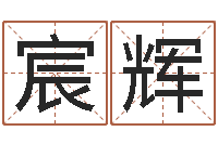 马宸辉大海水命和石榴木命-称骨算命准么