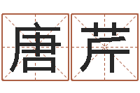 唐芹万年历查询表星座-yy是什么意思