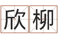 韦欣柳龙与什么属相相配-周易玄空风水学