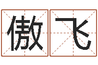 李傲飞农历网姓名算命-买房看风水