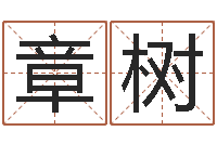 于章树八字算命年运势-李居明算命改运学