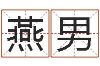 刘燕男男孩子起名-免费婴儿名字