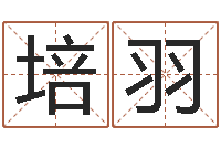 冯培羽周易在线算命-极品列车时刻表查询