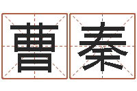 曹秦周易免费称骨算命法-属相算命婚姻