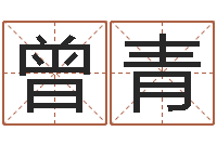 曾青建筑风水实例分析-宝宝起名打分