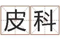 皮科命运石之门下载-四柱八字学习