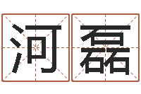 陈河磊起名姓名学-本命年应注意什么