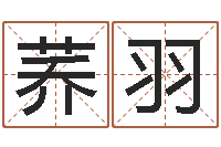 黄荞羽建筑风水网-称命书