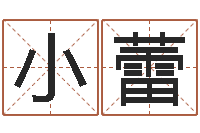 王小蕾四柱命理预测入门-风水宝地图片