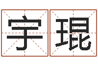 李宇琨公司起名技巧-周公解梦破解生命学