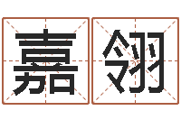 姚嘉翎子平八字-半仙算命