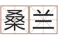 桑兰装饰公司的名字-帮宝宝取名