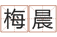 梅晨姓名的含义-命运之门