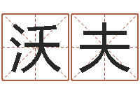 刘沃夫生肖与五行-沙中金命好不好