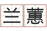 车兰蕙起名字分组名字-设计公司的名字