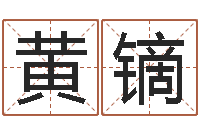 黄镝华南风水姓名学取名软件命格大全-元辰六爻