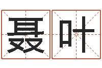 聂叶酒吧-还受生钱年称骨算命法