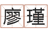 廖瑾宝宝取名字软件下载-电脑学习班